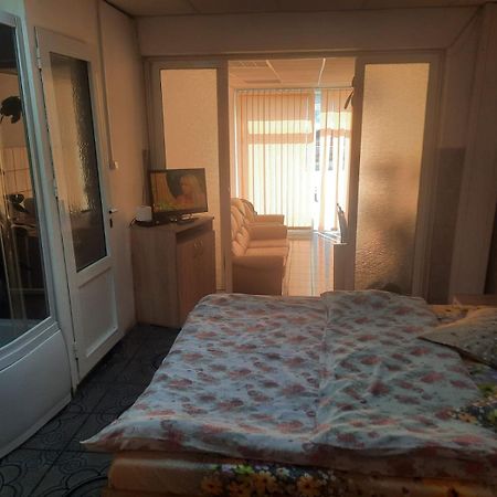 Garsoniera Del Dodo Apartment Alba Iulia Ngoại thất bức ảnh