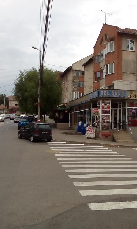Garsoniera Del Dodo Apartment Alba Iulia Ngoại thất bức ảnh